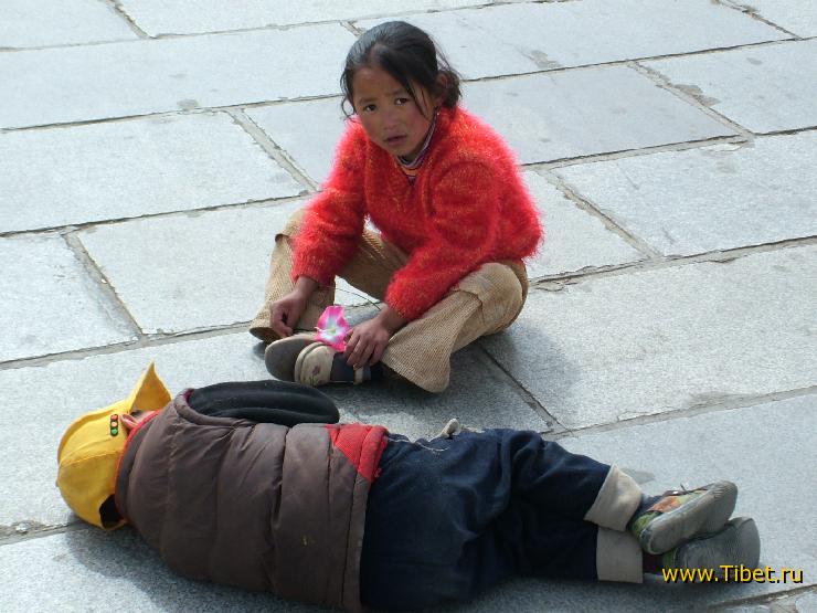 to be or not to be childs of Lhasa