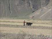 ������ �� ����������