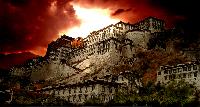 Tibetan Pain