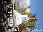 ������ ������ ������ (Potala)
