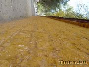 �����