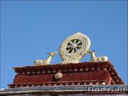 ������ ������ (Wheel of Dharma)