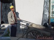 ���� ���� ����� ���